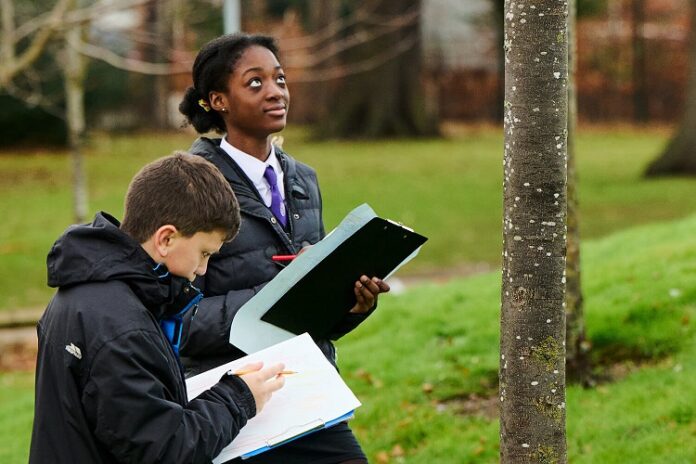 Outdoor Study